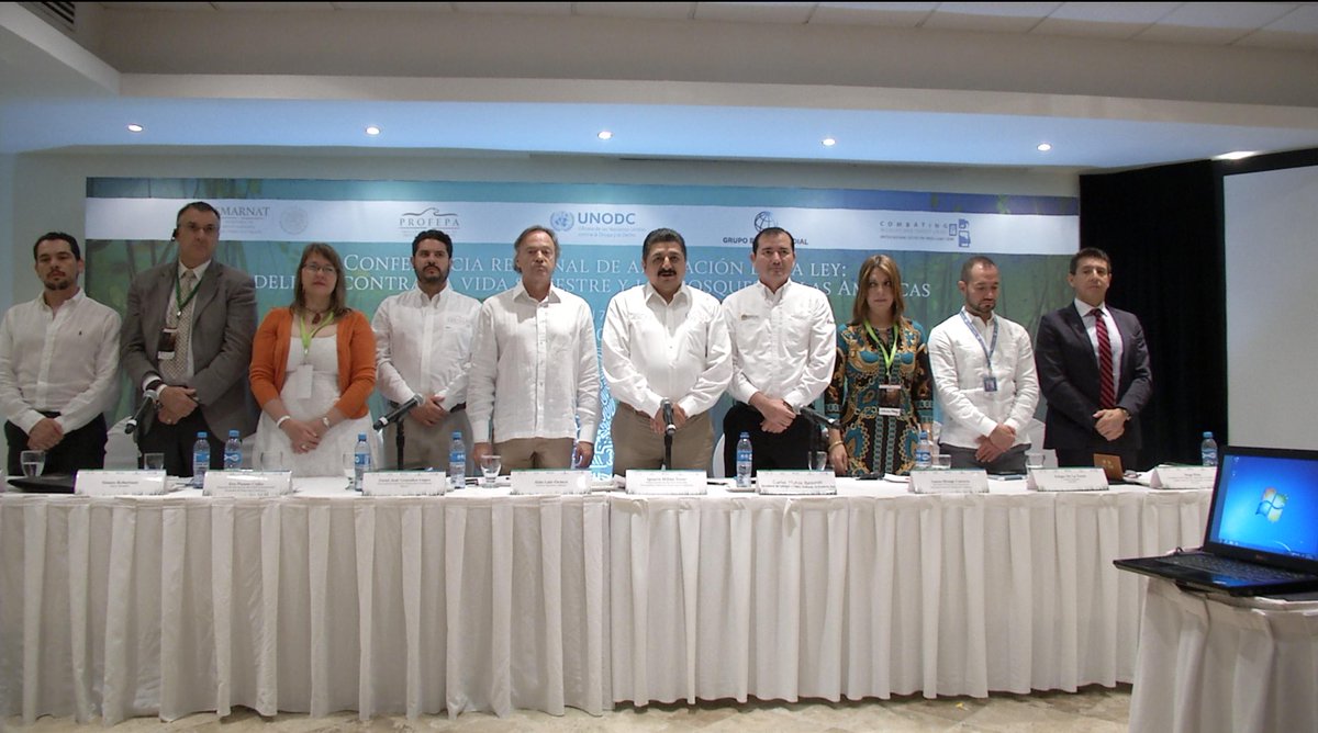 Tráfico de especies, delito que deja 100 mil mdd anuales - CQwfMO9UwAAZIff