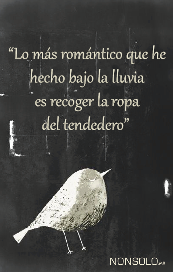 Maria Velazquez tweet media