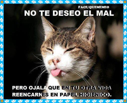 Maria Velazquez tweet media