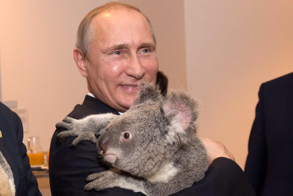Happy birthday Vladimir Putin! 

Putin fact: Putin has a pet koala! 