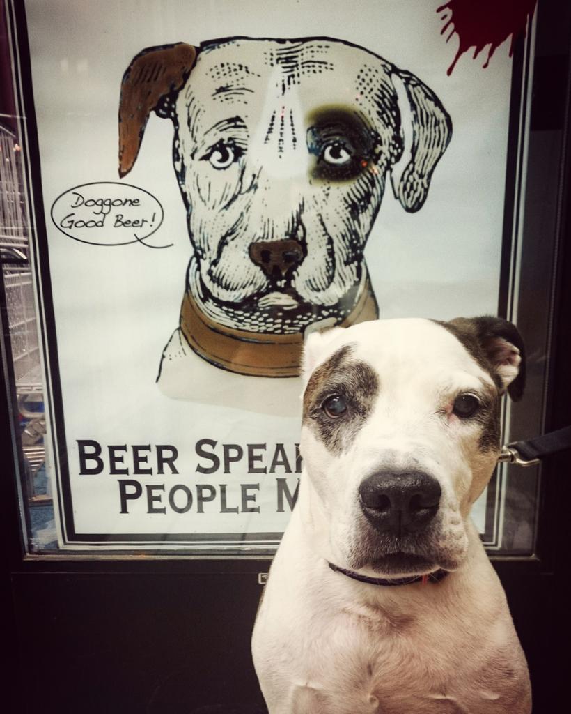 Hmmmmmmm..... <a href="/lagunitasbeer/">LAGUNITAS BREWING CO</a>