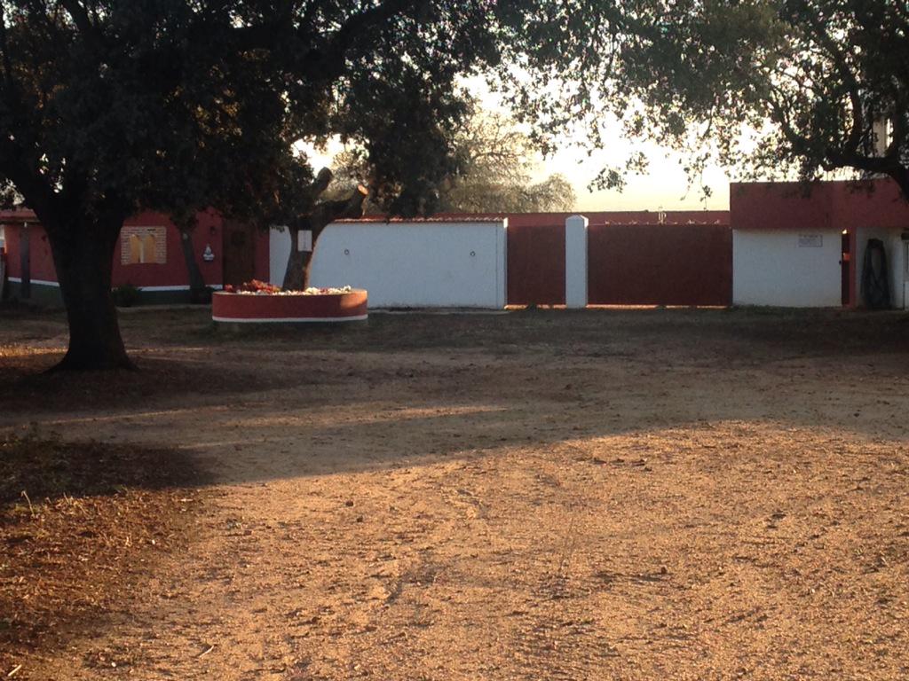 G_JoseCruz's tweet photo. Rincón campero , rincón torero...cabezal viejo .. Lugar de encuentros de gentes del toro .. http://t.co/HvJcnnhfHX