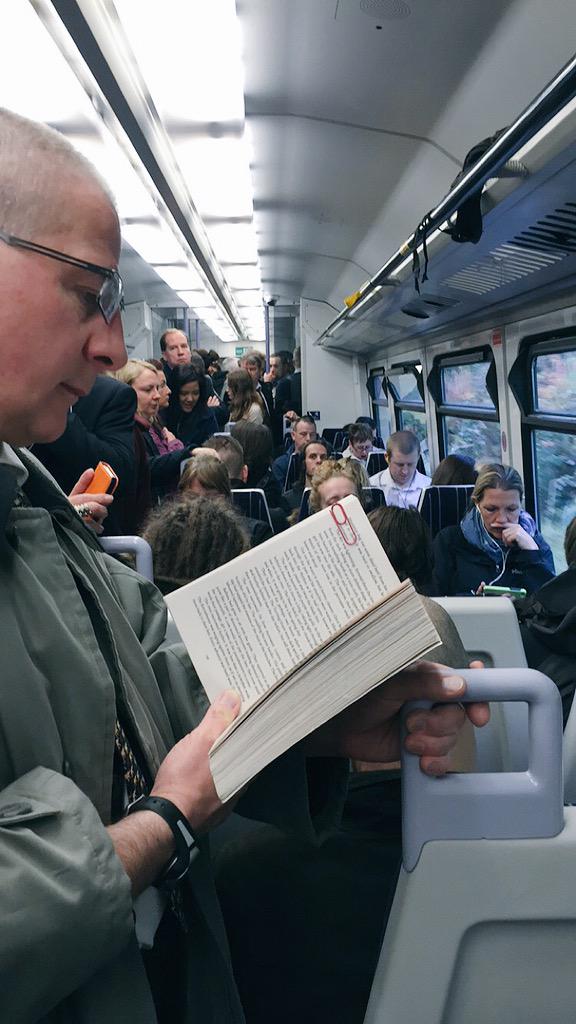 Hayley Padget tweet media