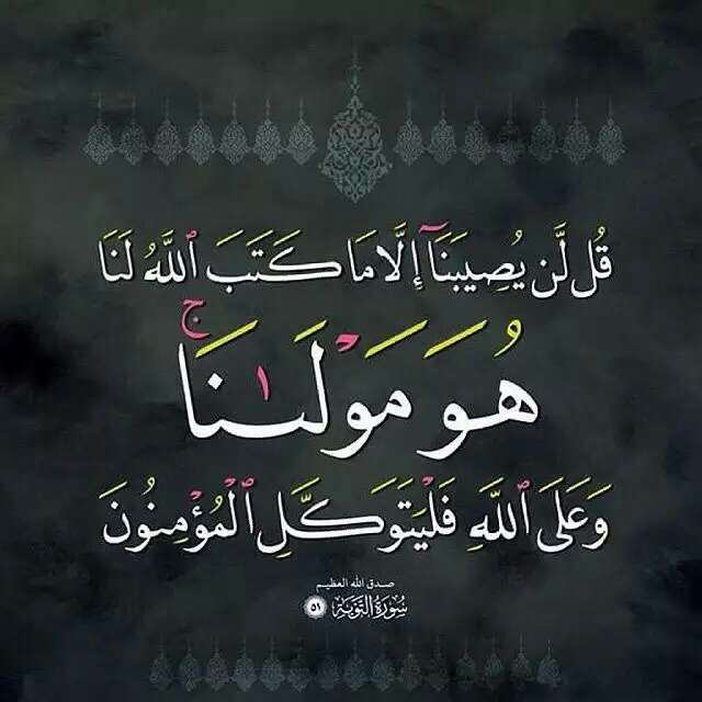 oumarfarouk2015's tweet photo. bonjour a vous tous je vous souhaite une bonne journee que dieu vous protege http://t.co/ld1pKmjCWY
