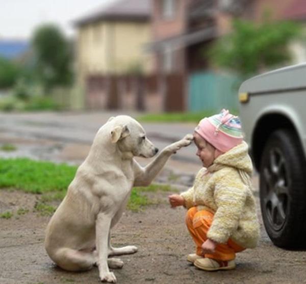 petzsupply's tweet photo. #True_relation between #pets_and_kids as both are innocent http://t.co/s6ayikManr