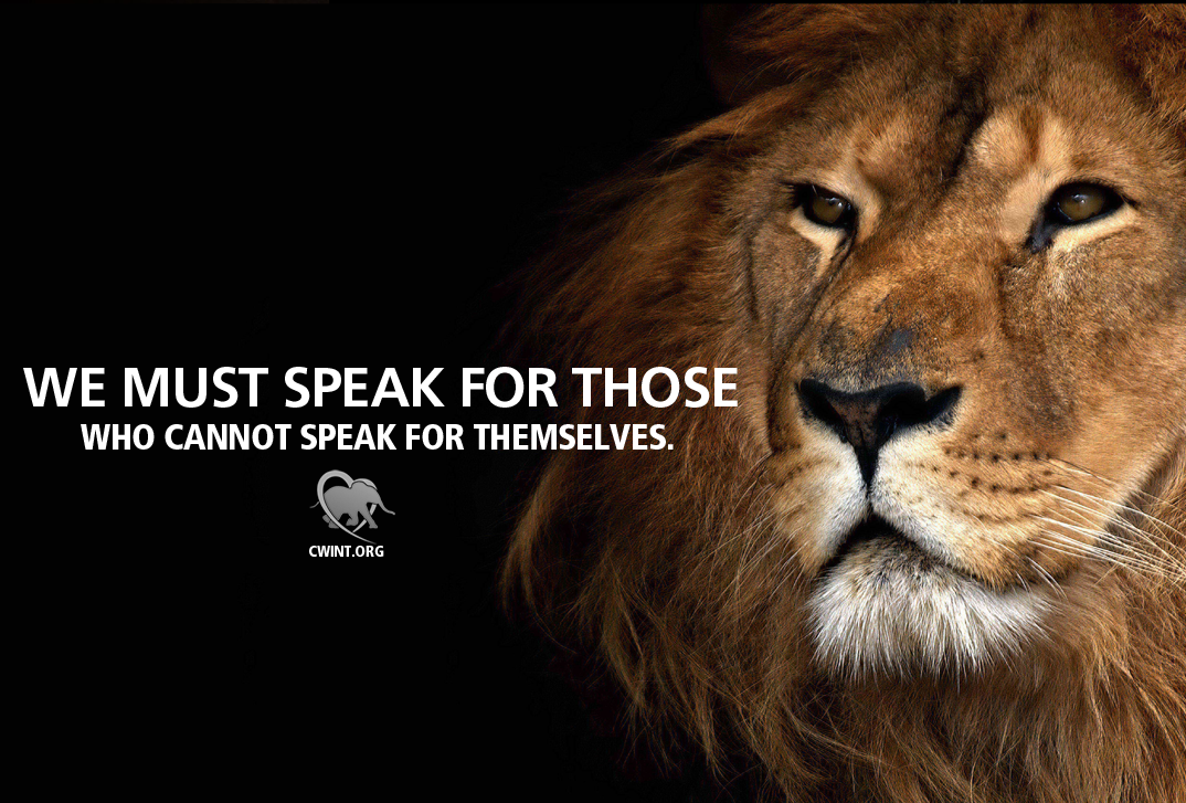 CWIntl's tweet photo. It's time to stop the hunts and #BanTrophyHunting. #BloodLions
TAKE ACTION NOW: http://t.co/pRDvMpUGpT http://t.co/QCdZuxQeOG