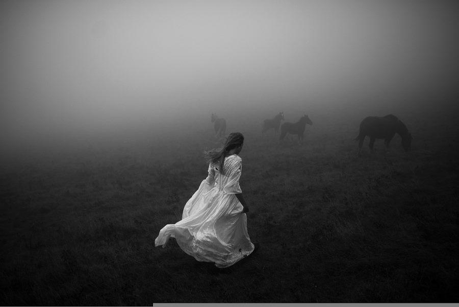 sylviahchannel's tweet image. Fade Away by Alessio Albi: goo.gl/8jSczM. #nature #bw #photography #wildlife #surreal #beautiful