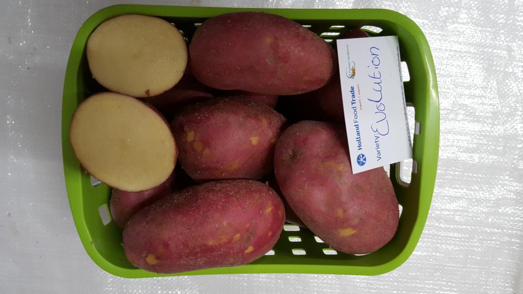 LarsKaim's tweet image. Rood of geel het maakt bij #franzenlandbouw en @AgriFoodTrade  geen verschil. #akker vers en gezond uit eigen grond!