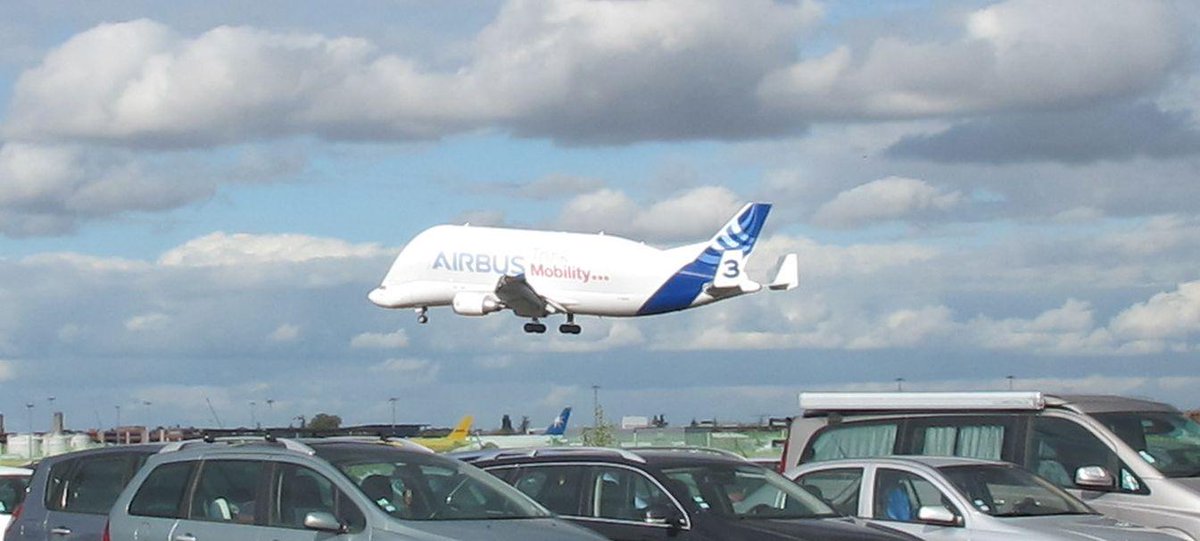 Vuelos dias a todos; ayer vi una ballena volando :)