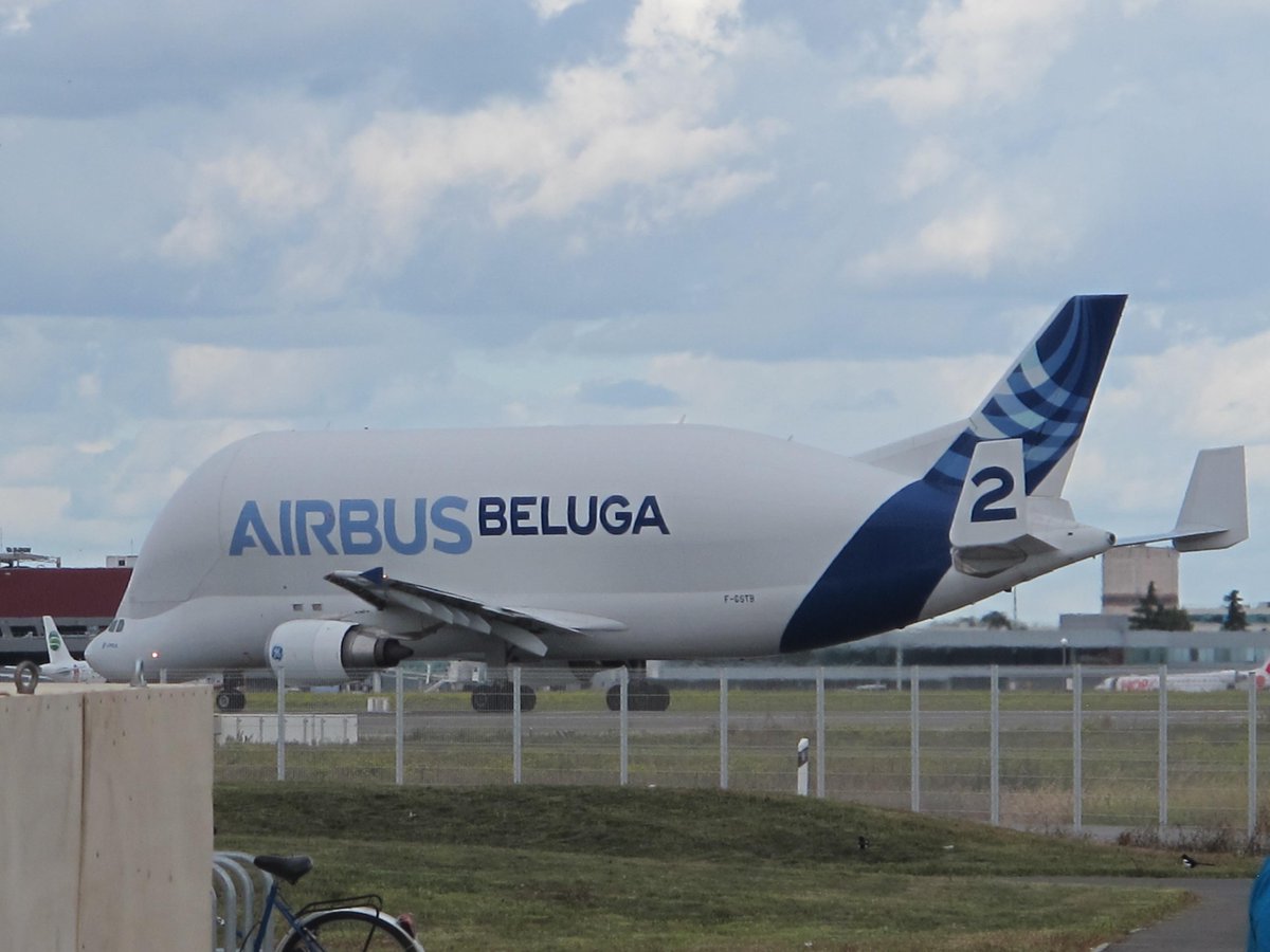 y luego vi otra ballena varada en la bahia... ¿será época de apareamiento?