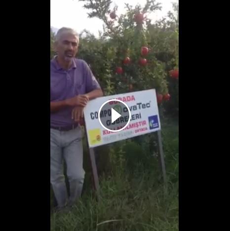 COMPO EXPERT Turkey tweet media