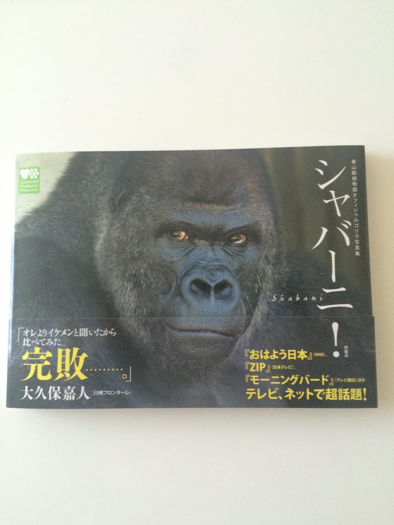 大久保嘉人 写真集出したよ オレじゃないよ ゴリラのシャバーニがね Http T Co 6zvyo4xrc7 Twitter