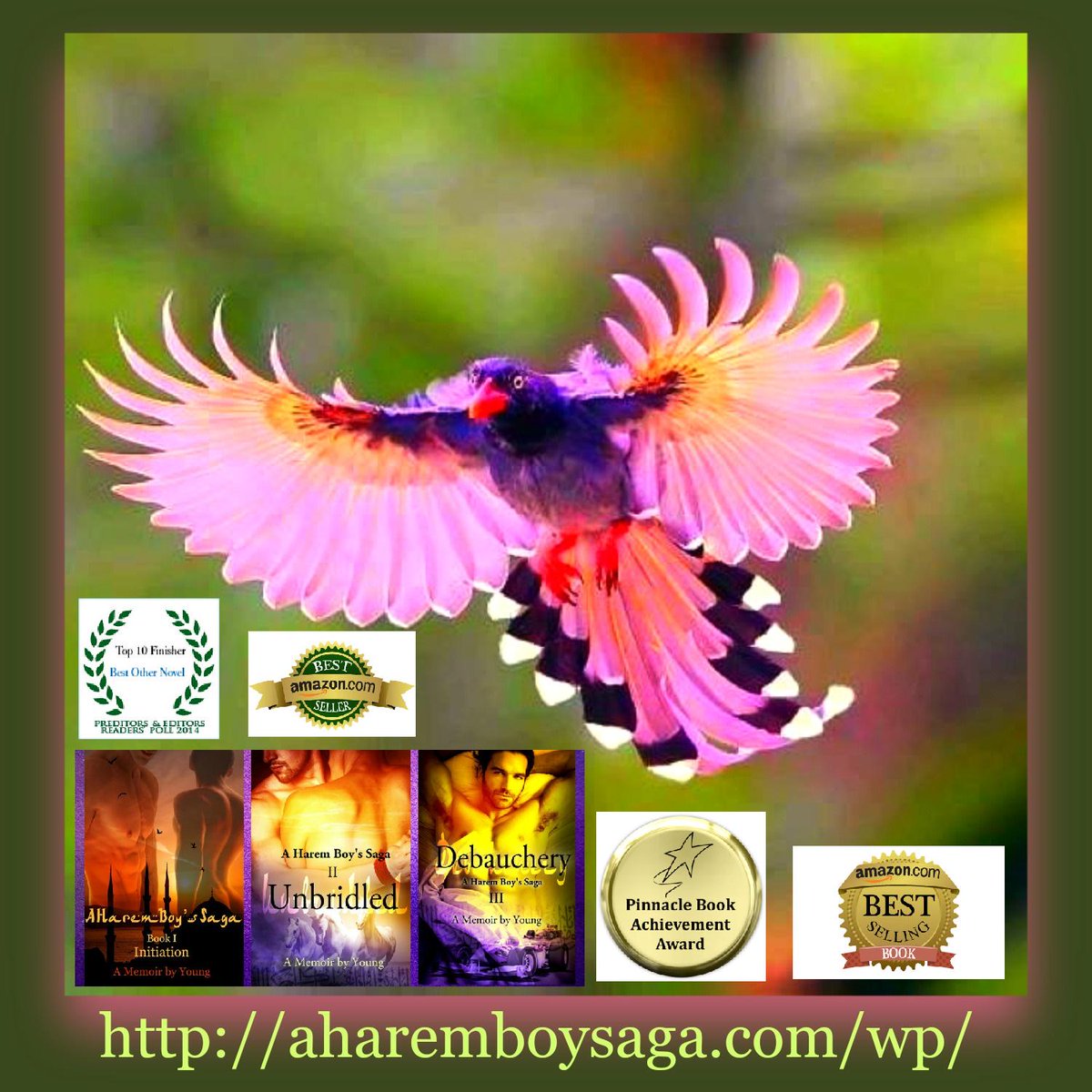 YoungFoong8's tweet image. aharemboysaga.com/wp/  memoirs definately send an #Enlightening &amp;amp; #APositiveMessage 2 the world.
  @Rave_ReviewsBC
