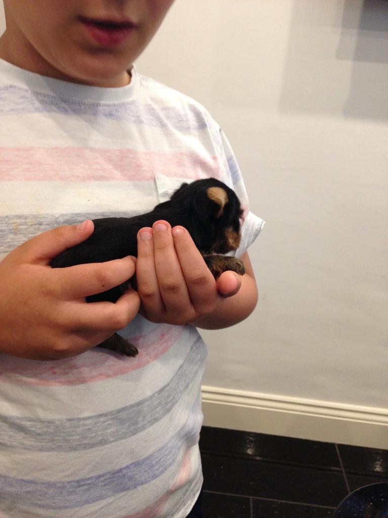 John Mrozs (@jmrozs) on Twitter photo 