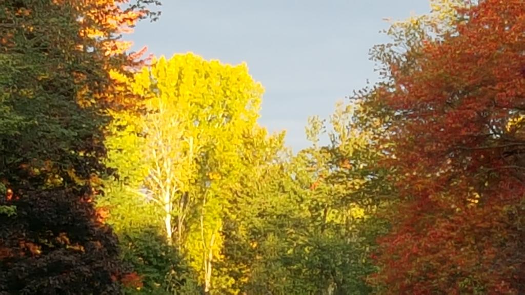 JohnnyHothead's tweet image. I love #October #solar #colorofsuccess