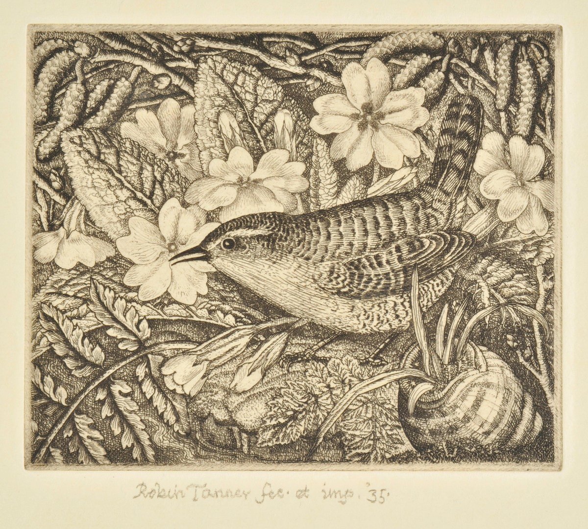 DWinterAuctions's tweet photo. #RobinTanner #etching from a very special print collection up for auction next week, view and bid @thesaleroom http://t.co/WGzyI7luMt