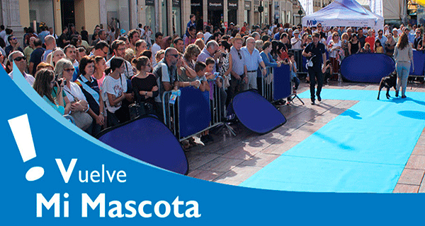 El S10 Pasarela <a href="/MiMascotaMLG/">Mi Mascota Málaga</a> en Pz de la Constitución. Exhibición, adiestramiento... - mmalaga.es/agenda/mi-masc…