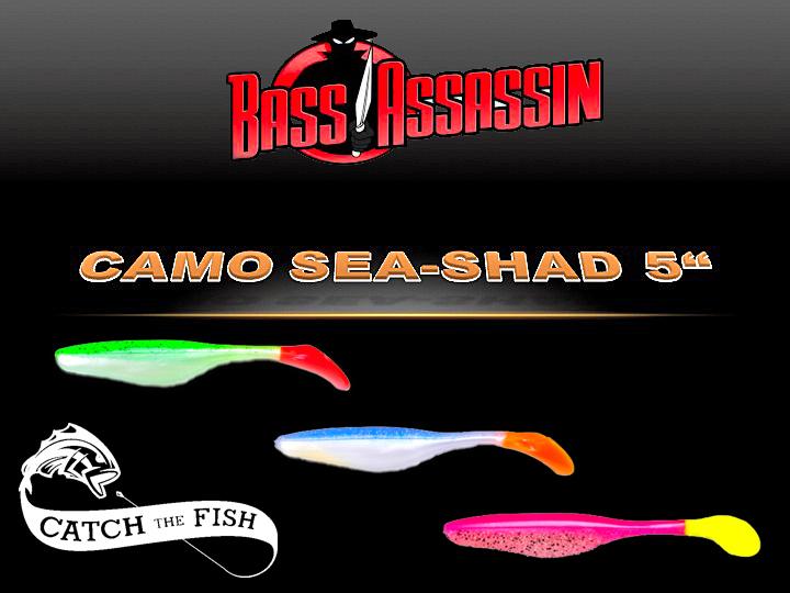 CatchTheFishEU tweet picture
