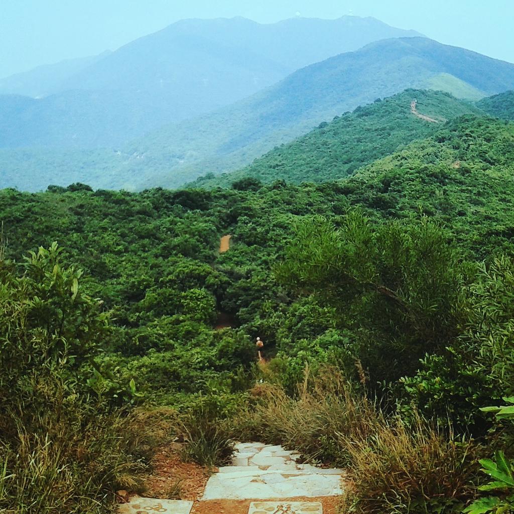 Lex_Albrecht's tweet image. Hiking, hiking, hiking in Hong Kong! Good alternative to riding ;) #happinesswatts #alwaysasolution
