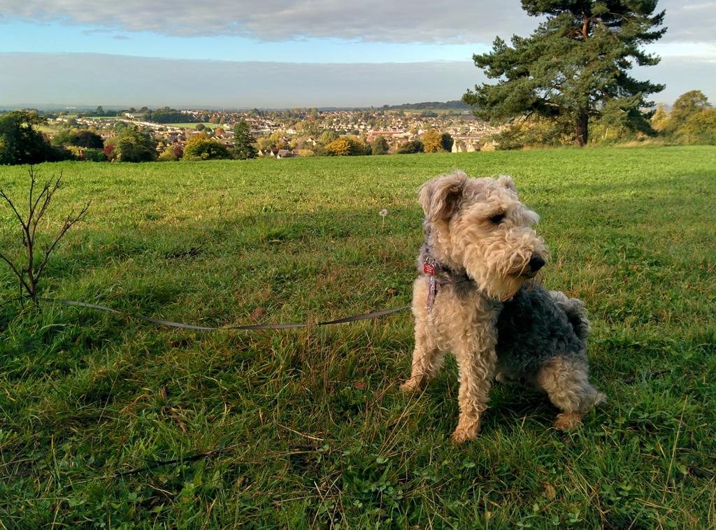 ArchieLakeland's tweet photo. Quick trip around Farringdon Folly before the haircut 😬 #SaveMyBeard http://t.co/br5xMYMSfe