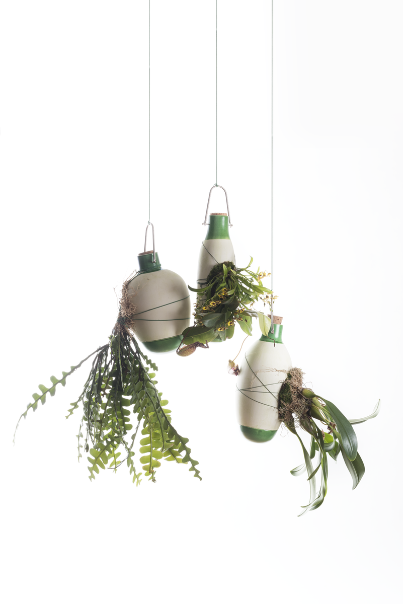 Dossofiorito tweet media