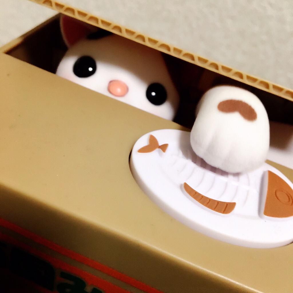 madotsuki_'s tweet photo. 【フォロワー7万人企画】
日頃の感謝を込めてフォロワーが7万人突破したと言う事で
猫貯金箱と僕のCDを1名様にプレゼントします！
※詳細は4枚目の画像に

応募方法
☛フォロワーさんでRTされた方
新しいフォロワーさんも大歓迎です！ http://t.co/AI9wYuf67X