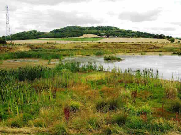 CPRE Gloucestershire tweet media