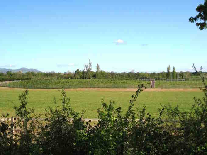 CPRE Gloucestershire tweet media