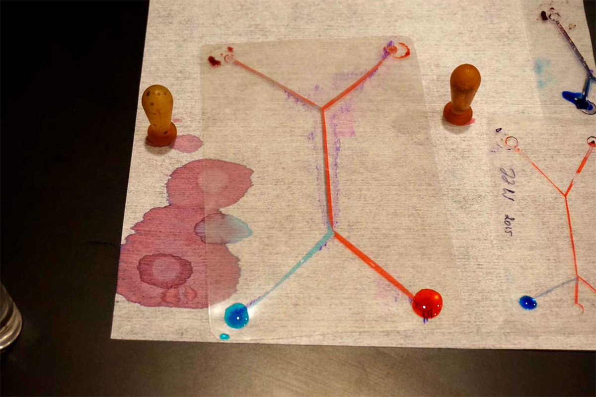 <a href="/GRRN15/">GRRN</a> among 280 simultaneous events that celebrated science across Europe #makingScience wp.me/p5pxBm-149