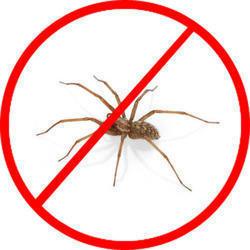 MourierPest's tweet photo. Call @ 9999787571. Mourier pest control deliberately drives out #spiderscontrol from home.
http://t.co/phQyFnbQuW http://t.co/ofJimbTvBu