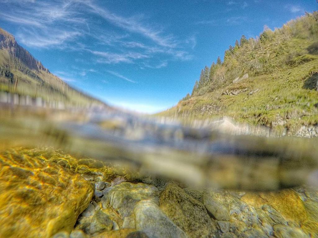 video_gopro's tweet image. 🙈 #tux #hintertux #hintertuxgletscher #gletscher #tirol #austria #cz #czech #boy #girl #skatelife #skate #skateboar…