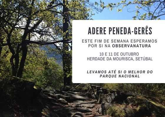 #observantura #bridwatching #pnpg #peneda #gerês