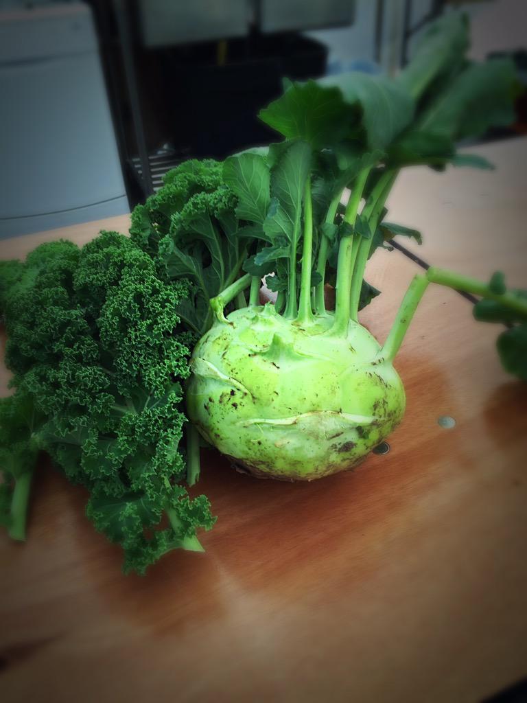 craigfloatechef's tweet photo. A day on the farm working with amazing produce grown 5 minutes from my house! @GOIHammond #Nottingham http://t.co/PVszJGgsEl