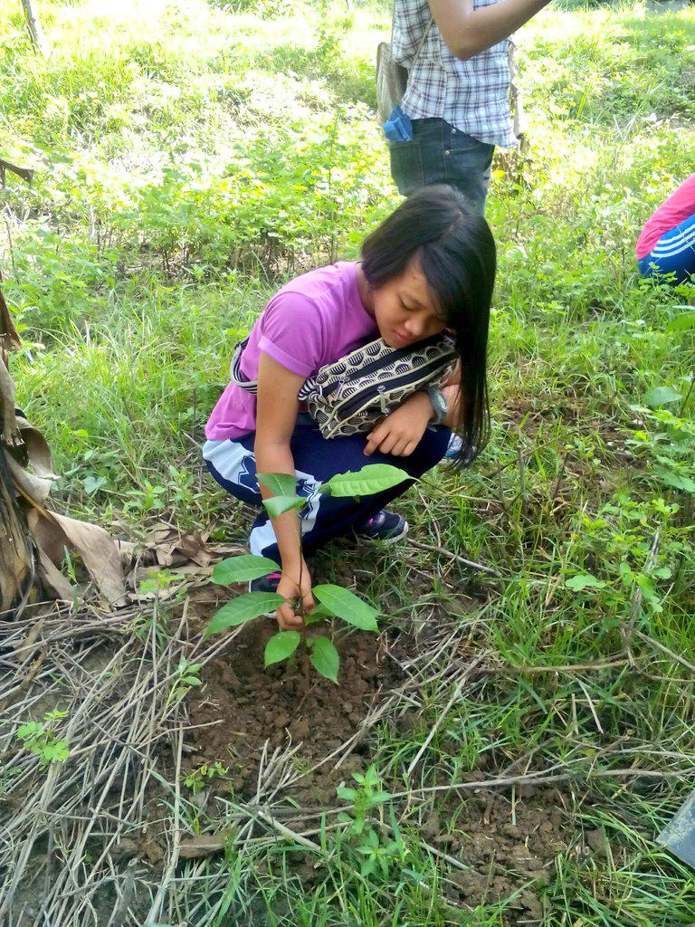 kimdg06's tweet photo. Tree Planting kanina :D http://t.co/dFEipBJpFg