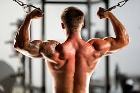 beastmuscles's tweet photo. Working hard yet not enough results? Consider these factors: http://t.co/ZIowrKiW96 #BeastMuscles http://t.co/mlMooKhf5m