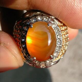 JCK Store tweet media