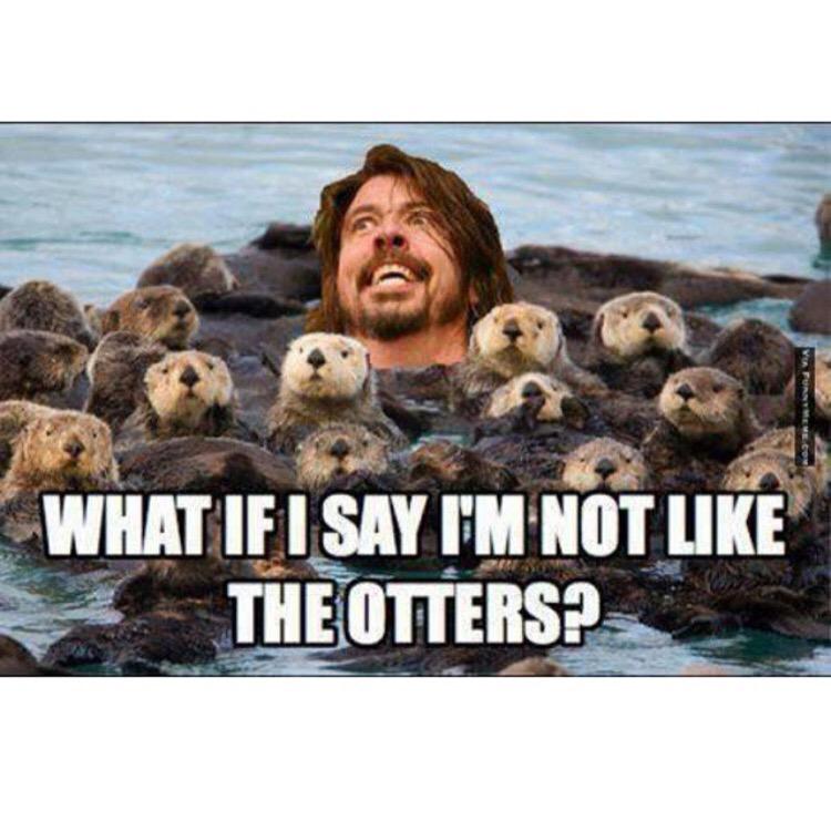 Geroldius's tweet image. 