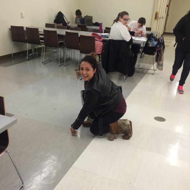 ChRustic0's tweet image. #GBCQuest Kass the litter bug police