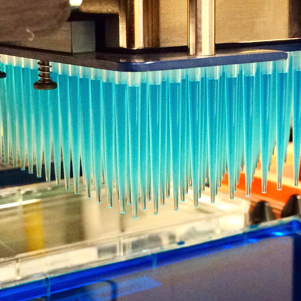 NanoScreenLLC's tweet image. #TipTalkThursday do not touch the tips while pipetting.Thermal transfer affects volume measurements #nanoscreen #tips