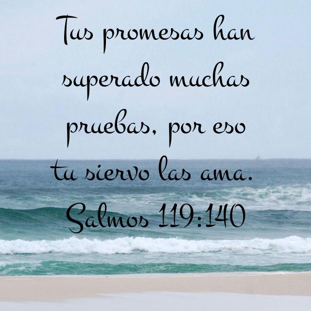 OhvsArg's tweet photo. #DiosFiel, siempre fiel. http://t.co/tkImu3WR05