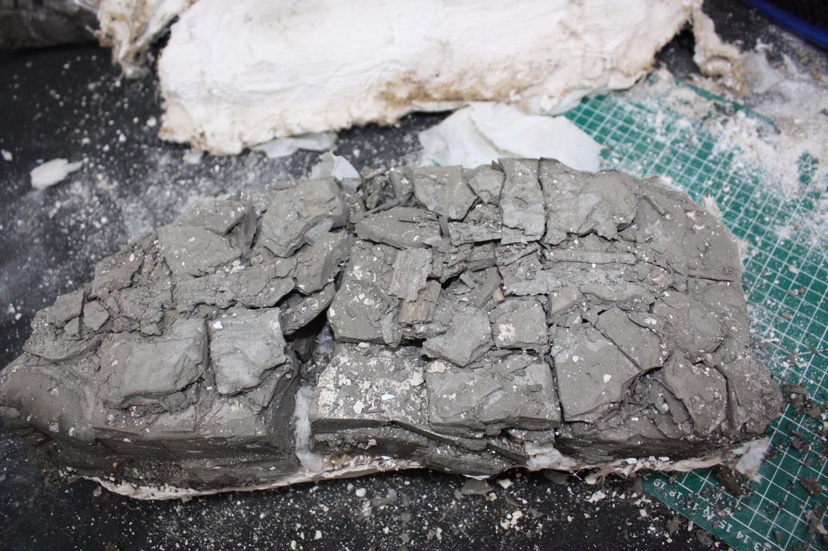 BigJurassicFish's tweet image. ...A cracking new bone reveal!! Glad that&apos;s not one I have to tackle. Good luck! #volunteers #projectstaff