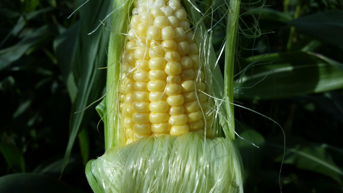 Elizabeth Miller tweet media