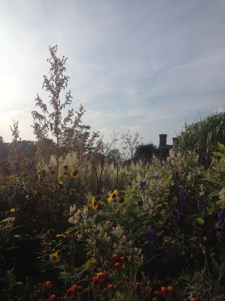 ej_metcalfe's tweet photo. @GreatDixter looking pretty last weekend at the Plant Fair. http://t.co/3PM9SCfuDL