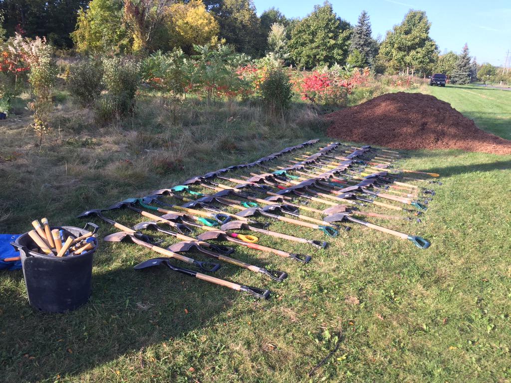 #TDTreeDays lets get to work!
