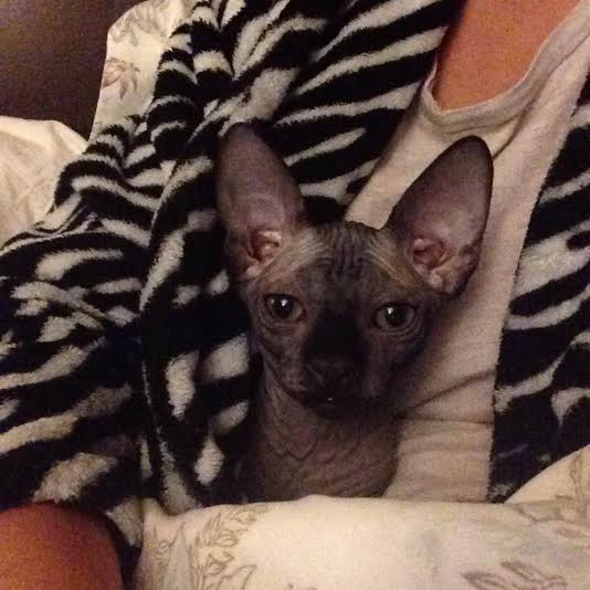 CoolSpaceCats's tweet photo. Good Morning :) 
http://t.co/VW0Q2YLGYt http://t.co/m5M5DEHyuM