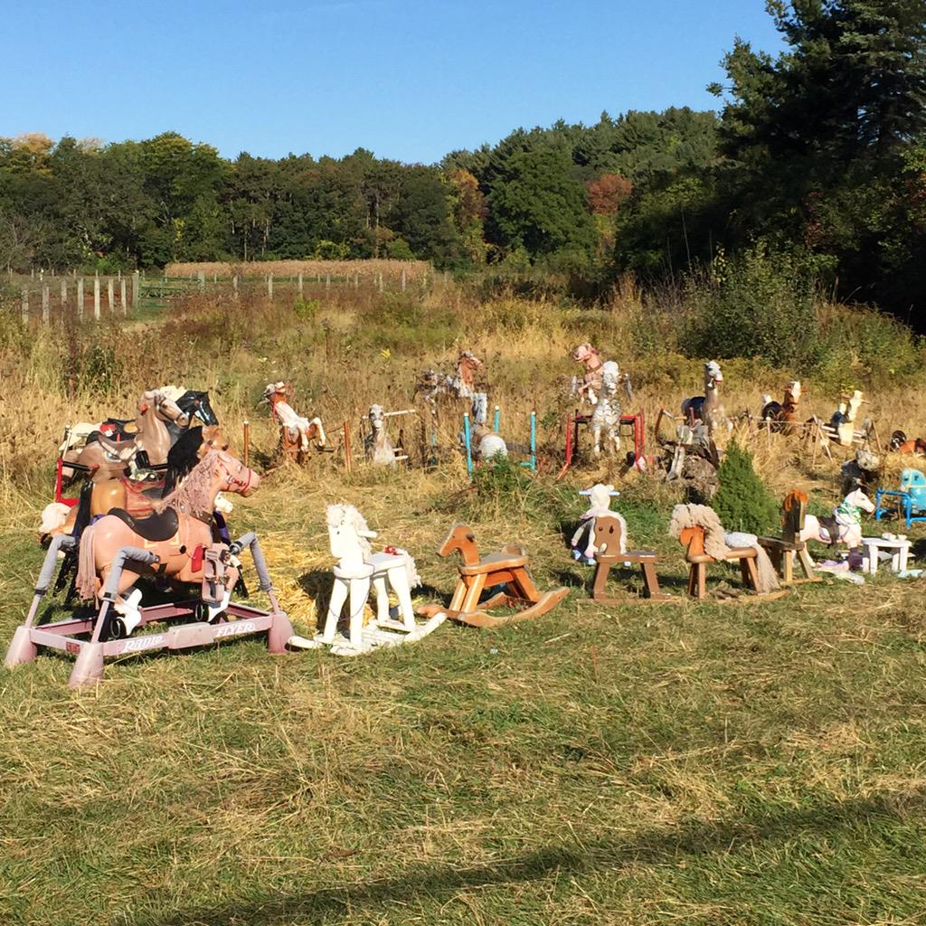 Put out to pasture. #whattheheck #horseyride #lincolnMA