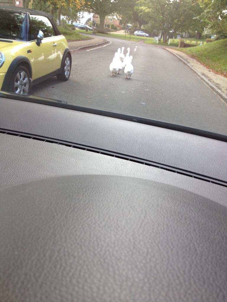 TheParentConsultancy tweet media