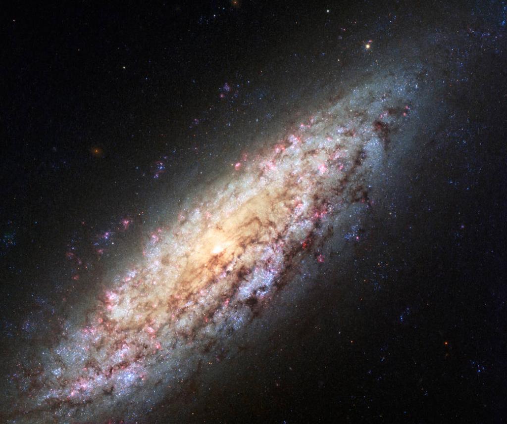 NASA tweet picture