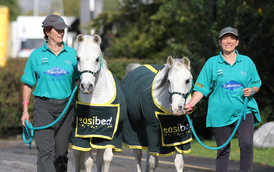 Wishing easibed users <a href="/Orchard_Scurry/">Chris Orchard</a> heaps of luck for this afternoons race at <a href="/hoystweet/">Horse of the Year Show</a>! #GoodLuck #Scurry