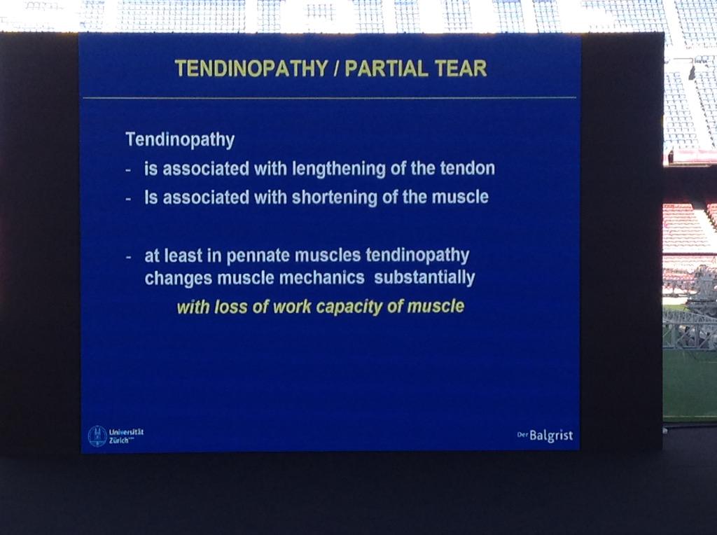 fizziowizzio's tweet image. Muscle mechanics changes with tendinopathy. #MTNECOSEP